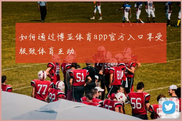 如何通过博亚体育app官方入口享受极致体育互动